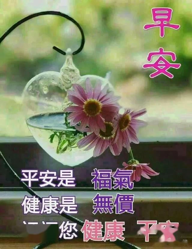 清茶一杯问候早安图片,喝茶早安问候语图片,清茶早安问候图片(第3页)_大山谷图库