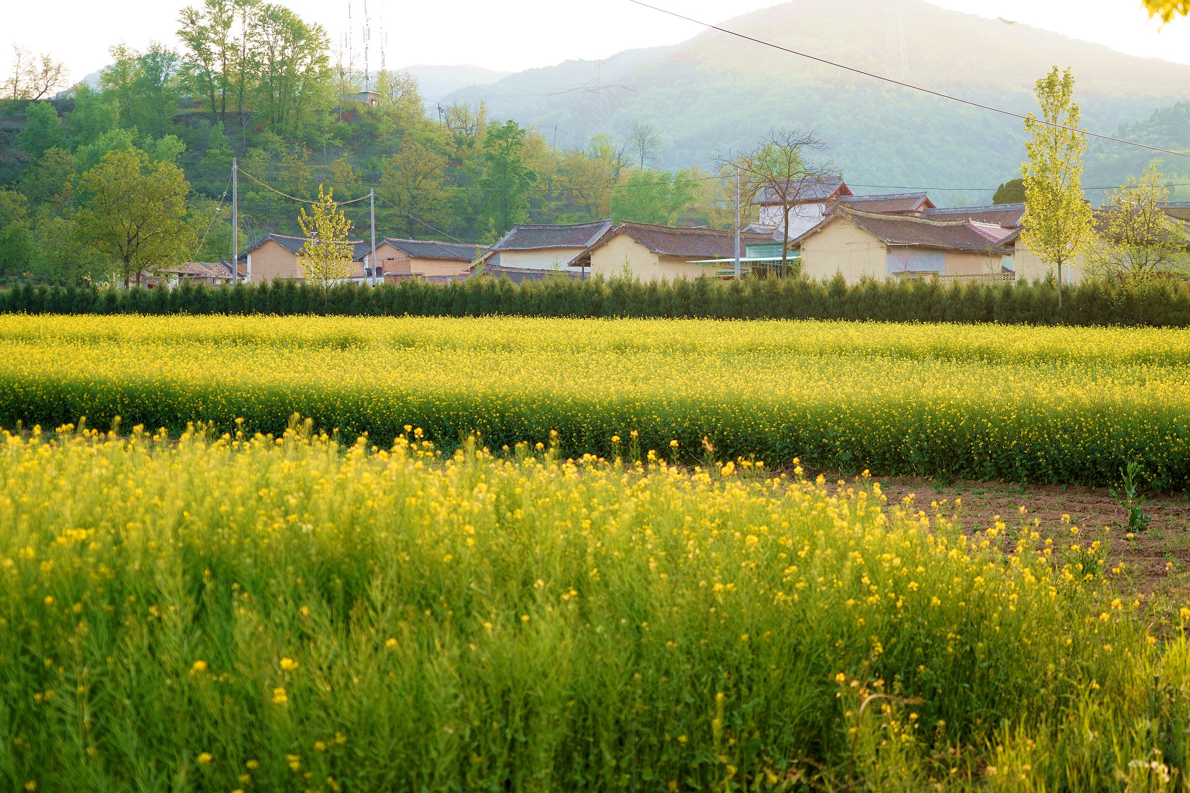 原创人说山西好风光这里农村如同现代版世外桃源看美成啥样