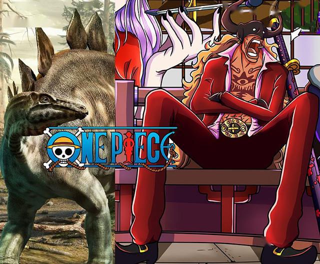 海贼王:索隆的对手,遍布整个鬼岛,索隆:听说凯多儿子是路痴?