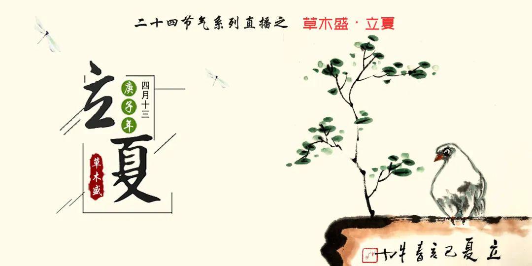 【直播预告】二十四节气系列直播《草木盛·立夏》