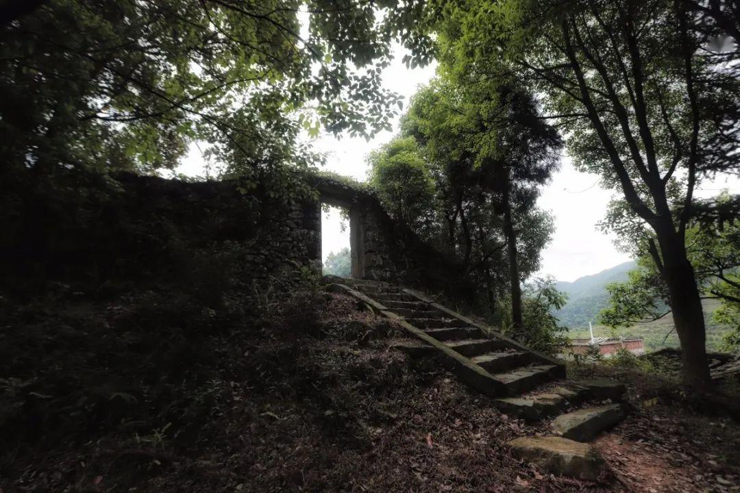 【头条】英都镇仕林村旧校舍改建为文殊书屋