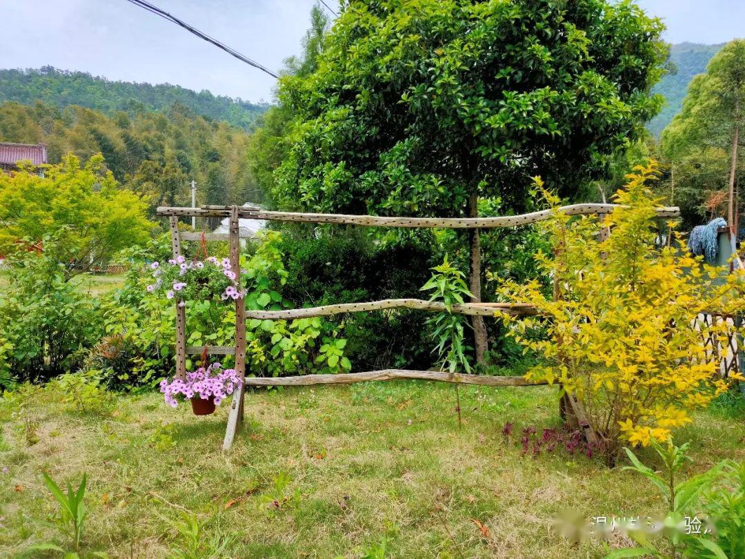 followme游温州村游去哇好时尚的瑞安曹村东岙村