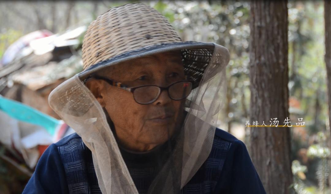 致敬平凡劳动者大潜山下养蜂人纪录片
