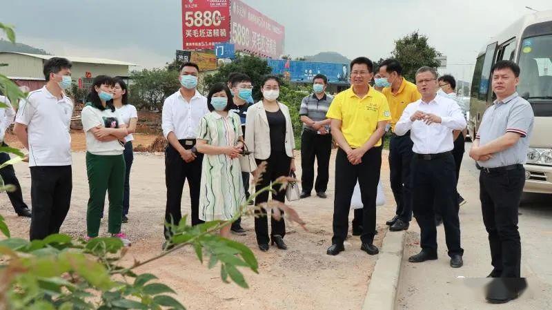 沿江路竹栏街6月底前完成路面铺设,市区新建一条6米宽的绿道_高州