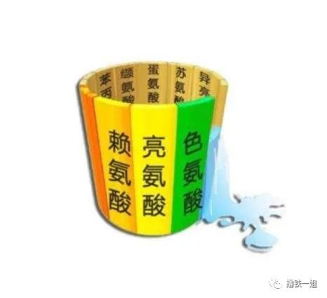 必须氨基酸都存在于肉,蛋,乳制品等蛋白含量高的食物当中,所以,吃肉太