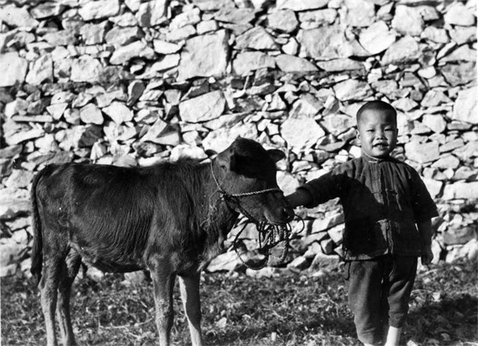 抗战时期照片农村图片