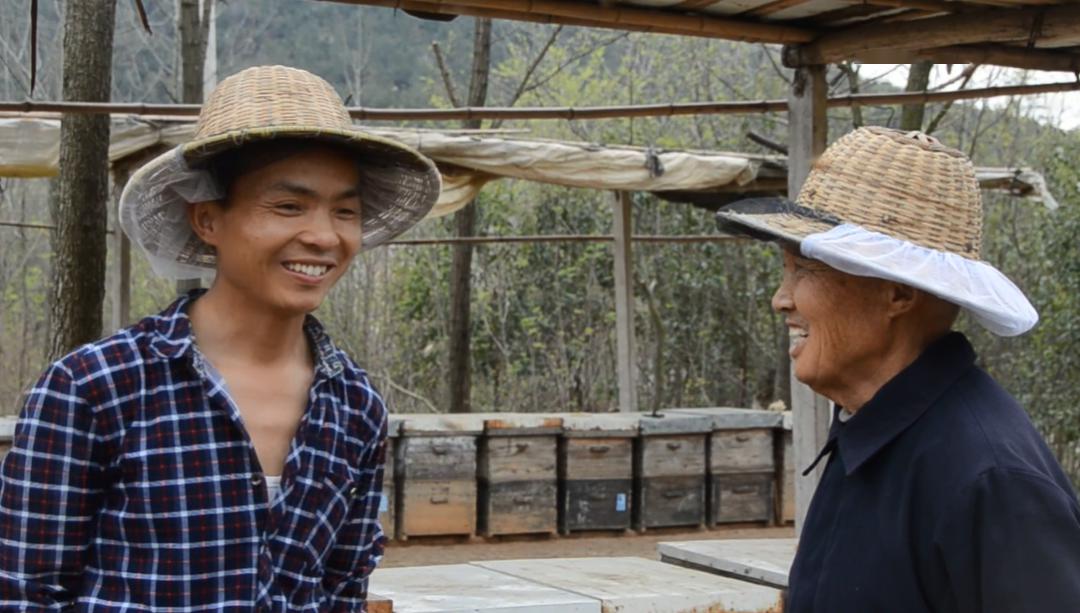 致敬平凡劳动者大潜山下养蜂人纪录片