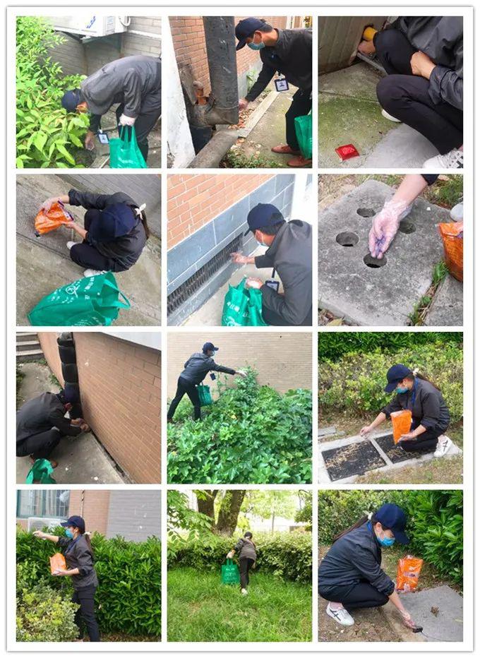 学校组织春季灭鼠除四害活动