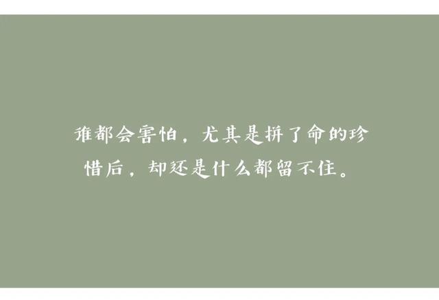 越拼了命的珍惜,越会容易失去,在你珍惜的时候,就是已经在失去了.