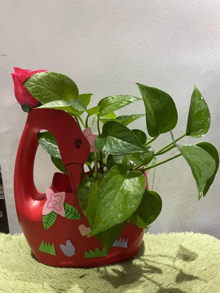 "变废为宝作品展来咯!