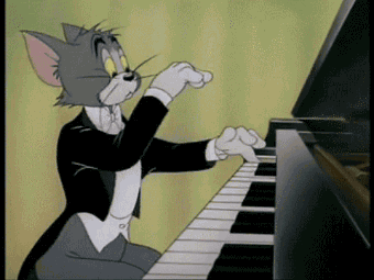 汤姆猫弹钢琴图片图片