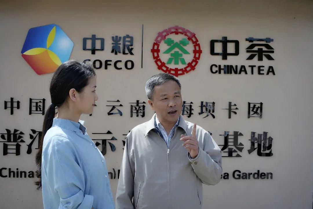 中國茶葉雲南勐海壩卡囡普洱茶示範茶園基地~正式開業(視頻)_公司