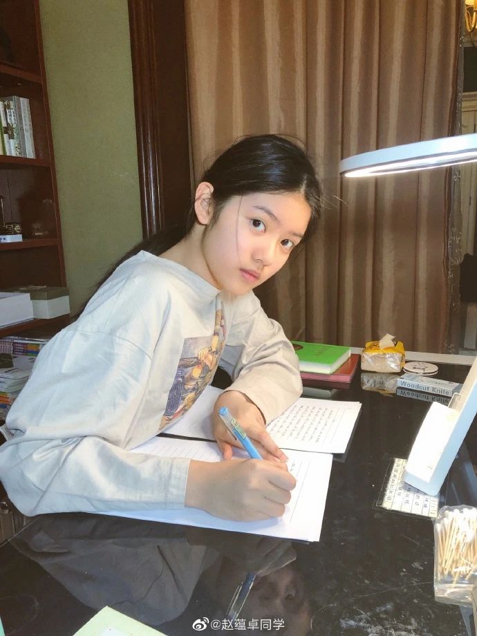 灵气逼人我们发现了一名14岁的小戏骨赵蕴卓