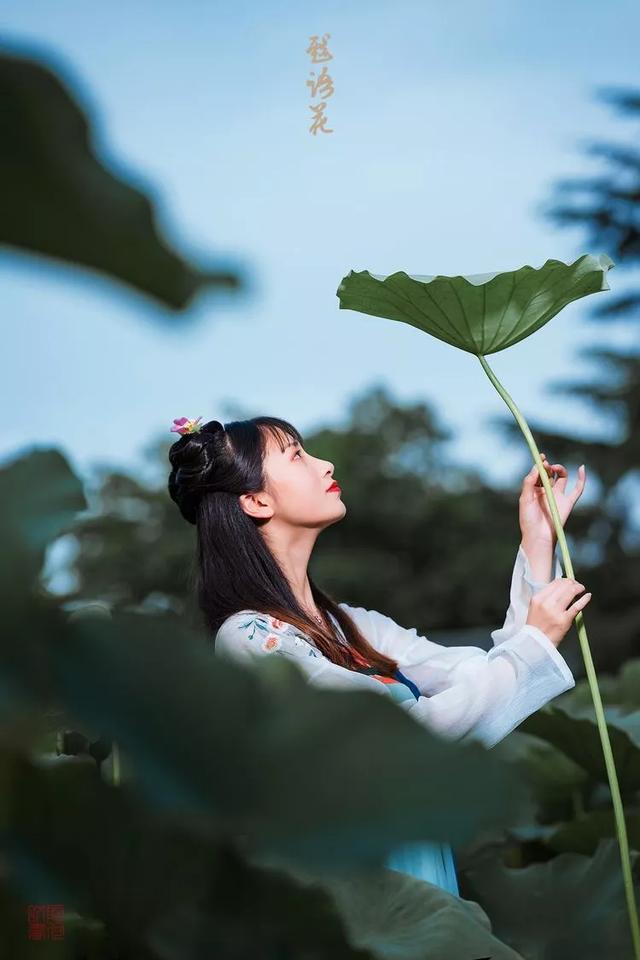 荷花边拍照怎样摆姿势图片