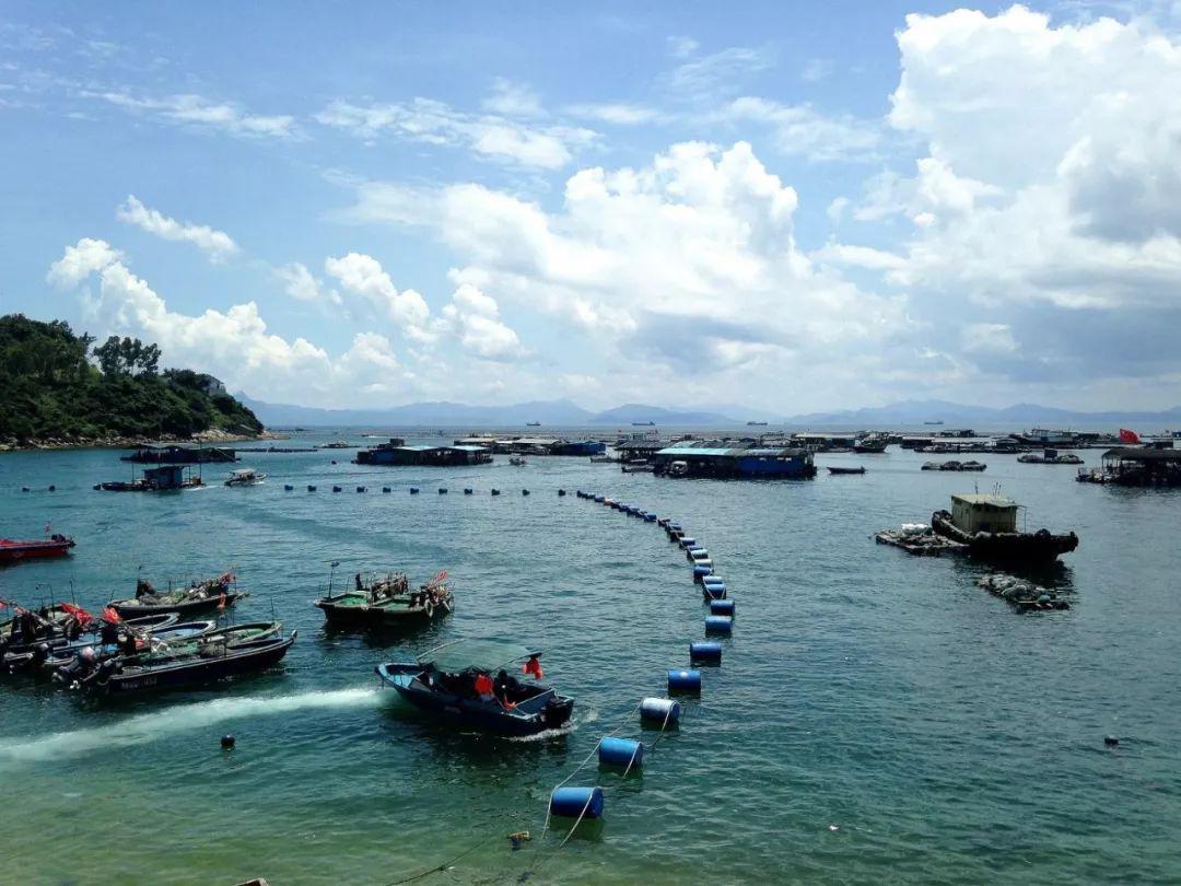 五一特辑 | 带你看全国144家渔港!感受来自鱼虾的生猛烟火气!