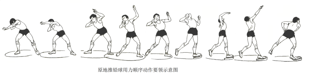 原地推铅球用力动作两脚左右开立,两腿弯曲,降低身体重心,以右手持球