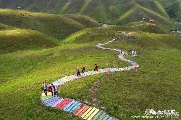 南方最大的鸳鸯生态草场你知道在哪里吗