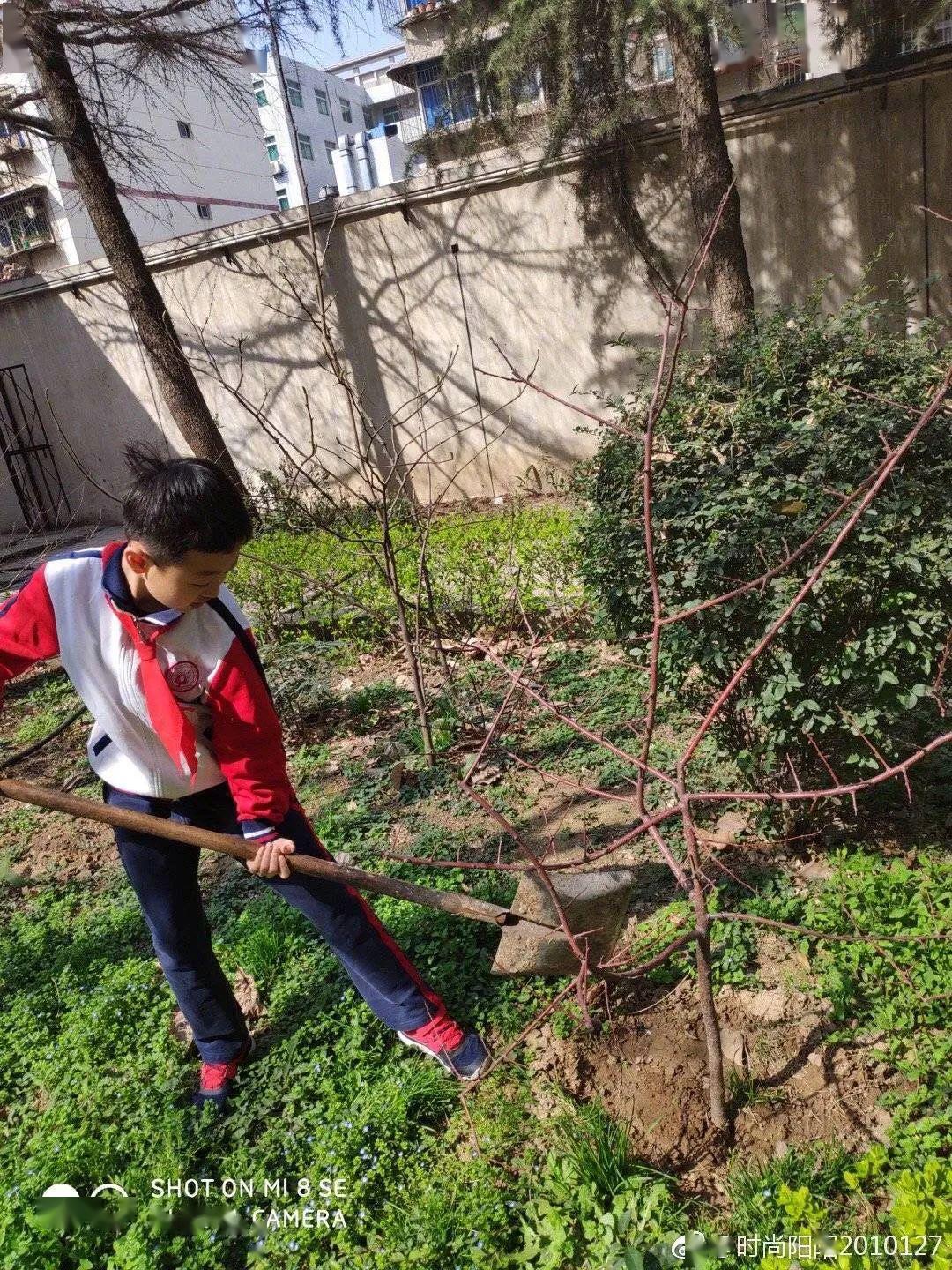 干掉千年沙漠种出8个韩国绿了全世界中国人种树到底有多牛