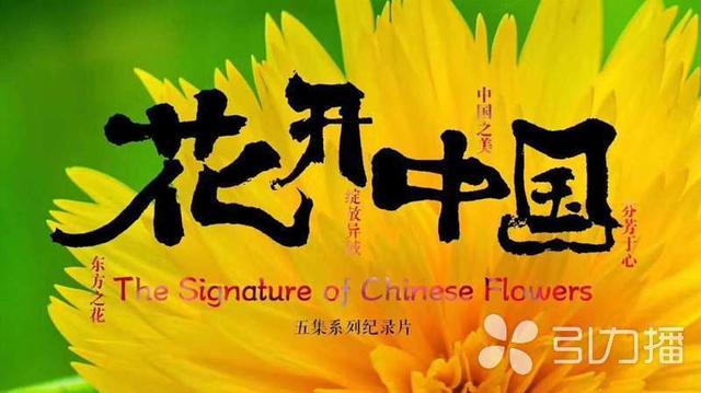 80后苏州导演执掌花开中国拙政园杜鹃花绽放央视