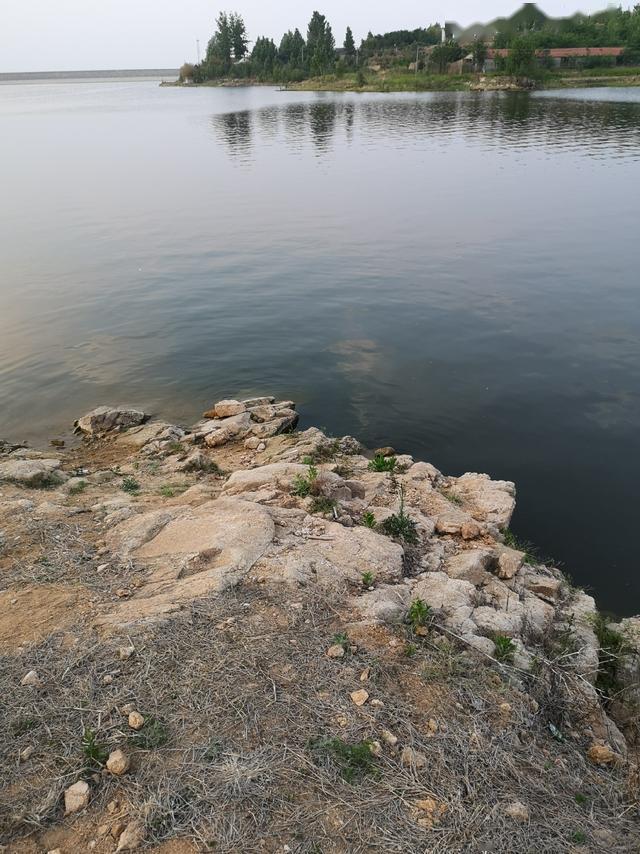 爷俩钓大鱼之彩山水库拉黄尾