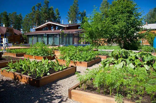 你的小院缺一个菜园