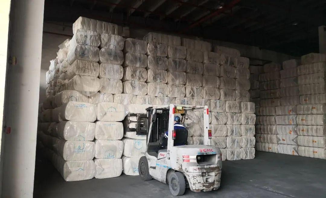 临港扫描丨美国进口棉花入库江阴综保区