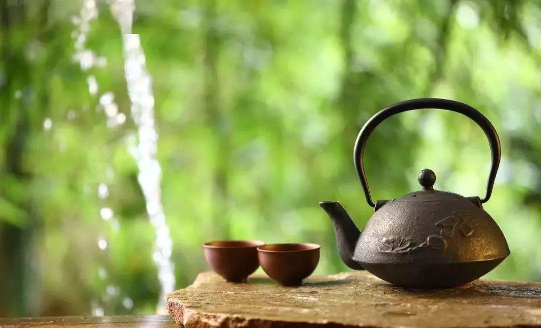一茶一时间一叶一乾坤茶道圈二十个冷知识