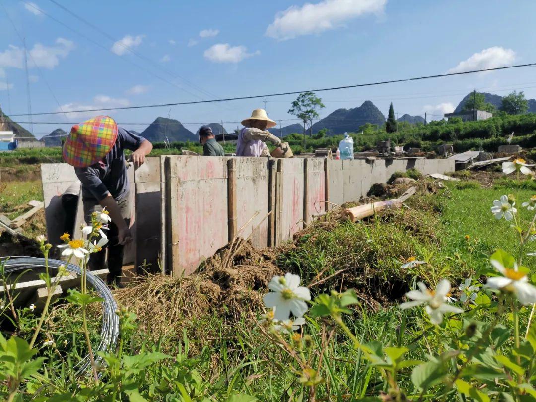 广西靖西企业建站_(靖西国际健康驿站项目)