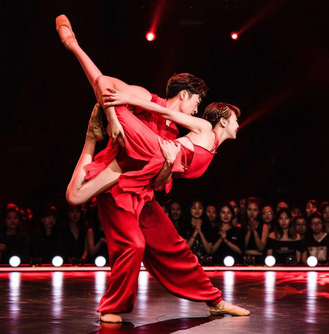 来袭51116线上直播教学教师阵容罗天朱凤伟张翰敖定雯魏伸洋侯垚庄婷