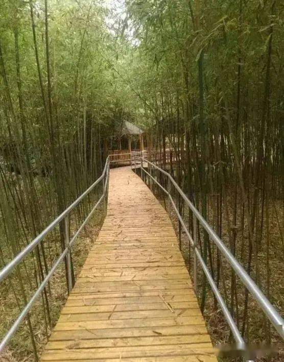 德安老山湾生态庄园一日游