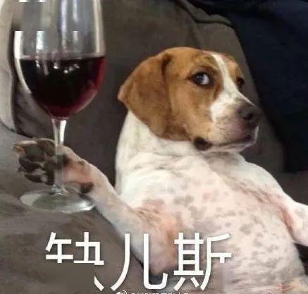 摇晃的红酒杯表情包图片