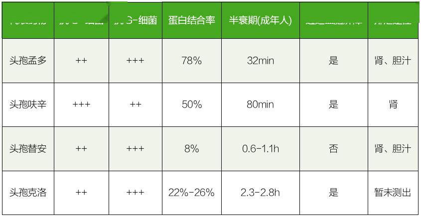 头孢唑肟抗菌谱图片