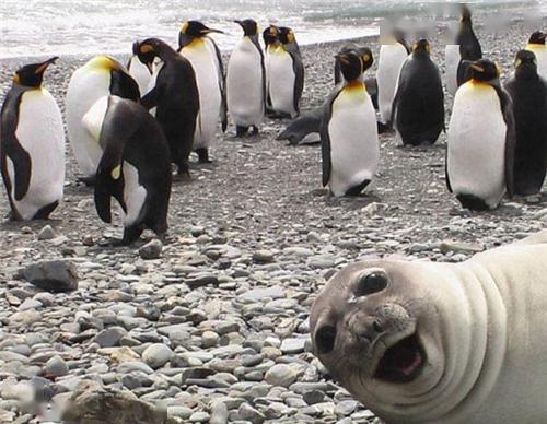 分享10张不可思议的巧合照片摄影师是怎么拍到的