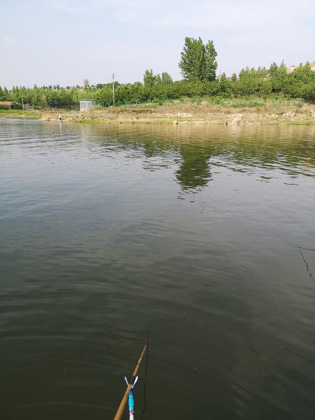 爷俩钓大鱼之彩山水库拉黄尾