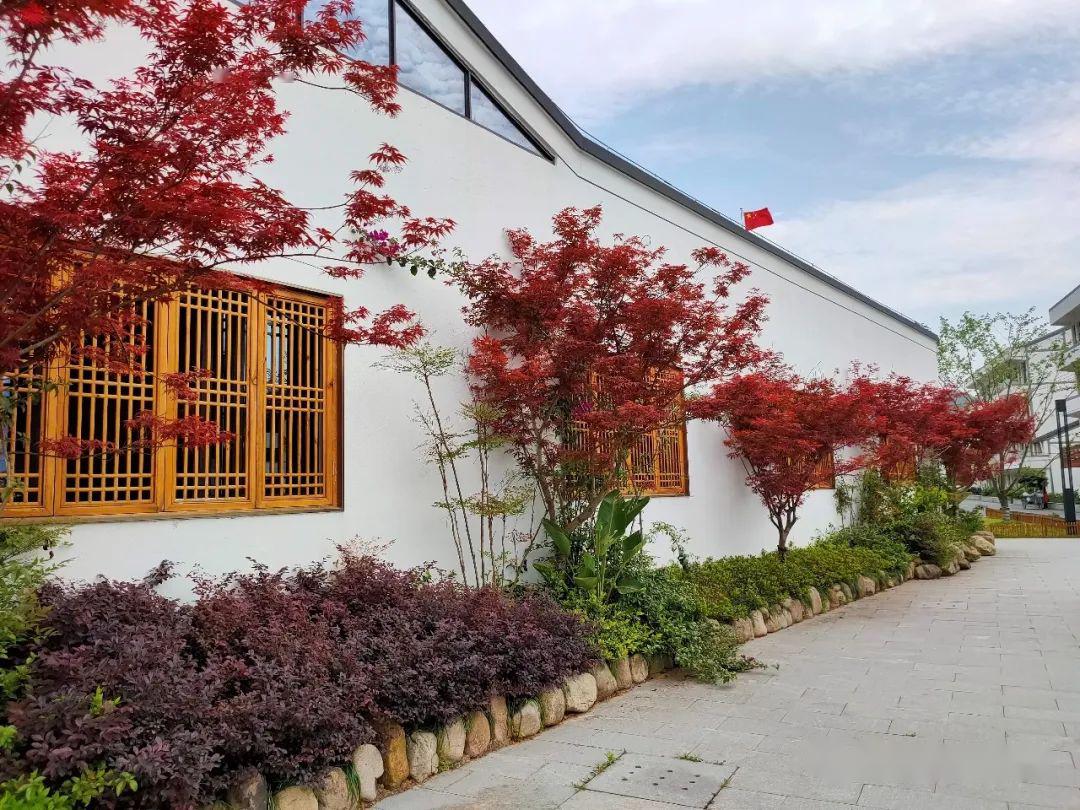 followme游温州村游去哇好时尚的瑞安曹村东岙村