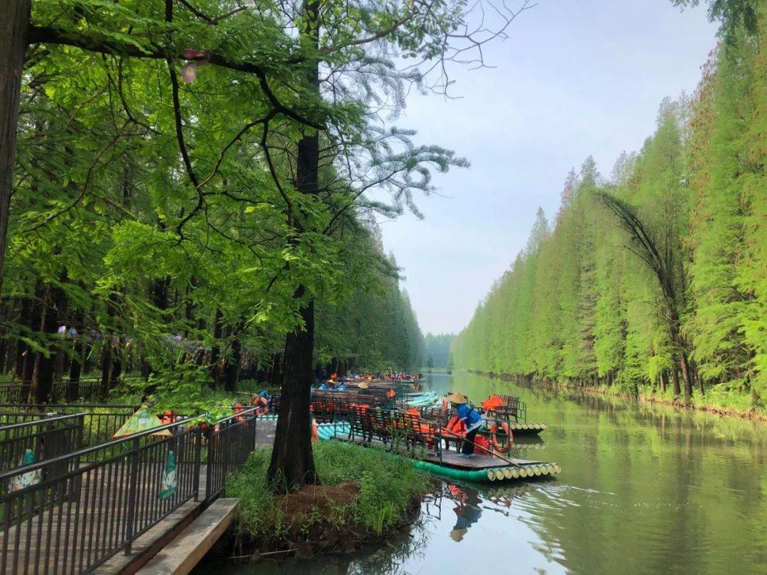 金湖全域旅游多方联动小长假首日平安有序