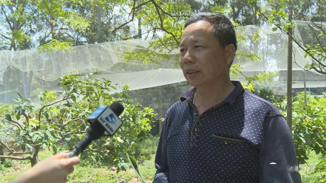 走进高级农艺师林岳生的一天~让