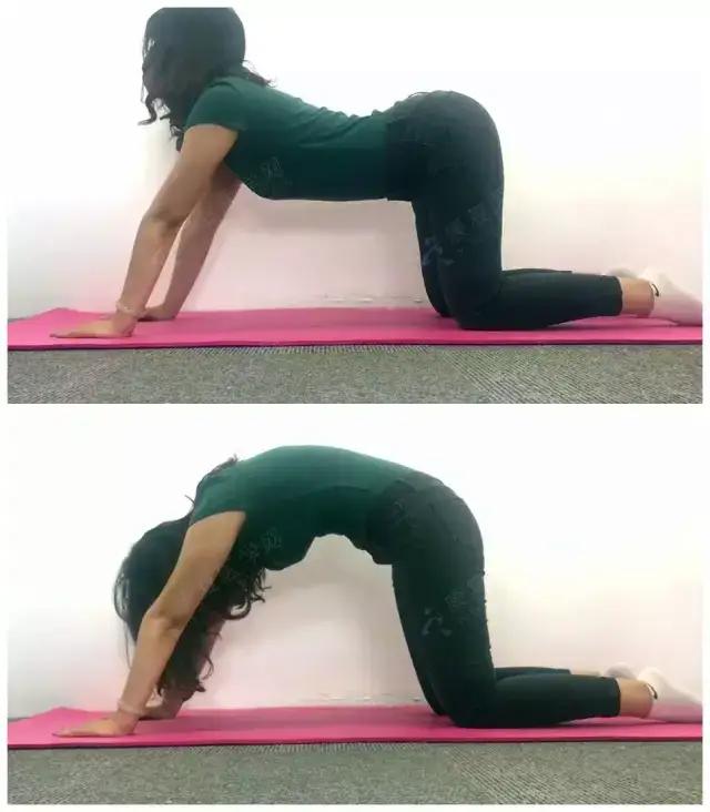 超实用竖脊肌放松训练图解!解决腰痛需要弄清这个核心点