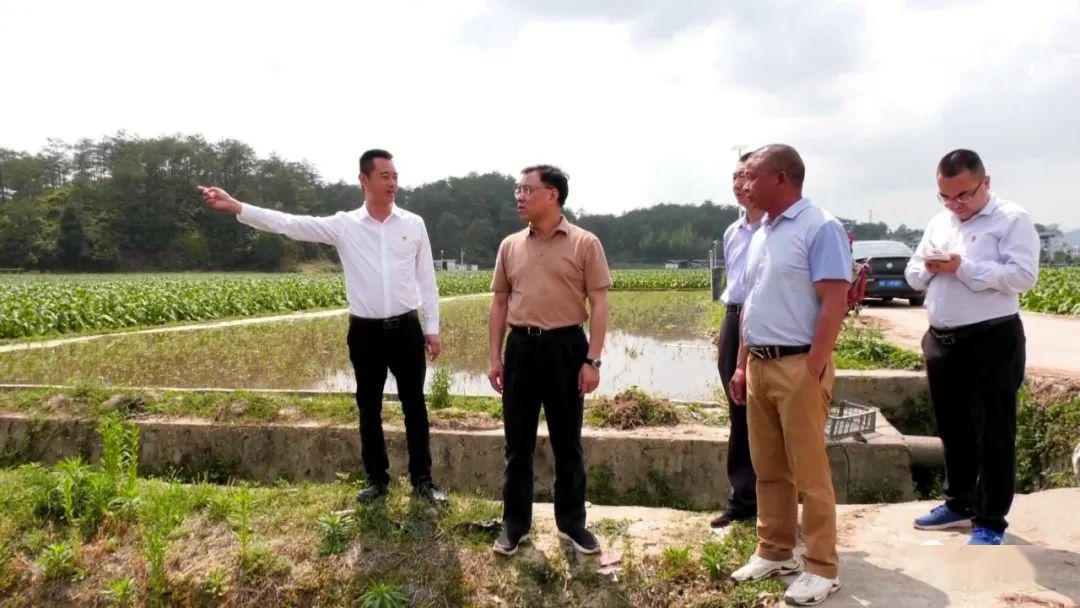 积极调动全县村民参与乡村振兴建设美丽家园长汀县长马水清深入新桥镇
