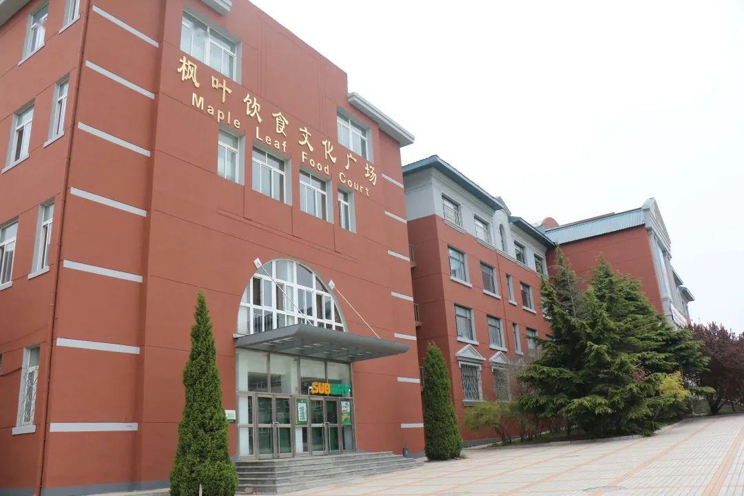 金石滩龙山小学图片