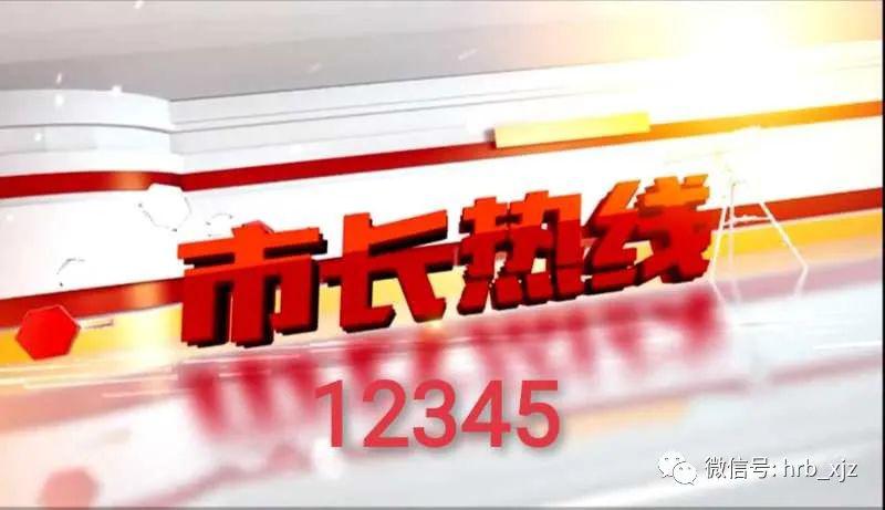 首先,高莹分享了武汉疫情期间,她所担任的市长热线接线志愿者工作.