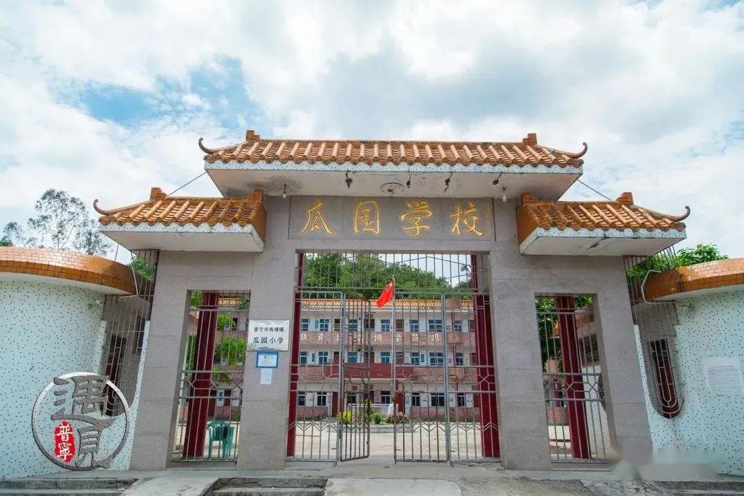 梅塘镇瓜园村李子成熟了,大家都来围观.