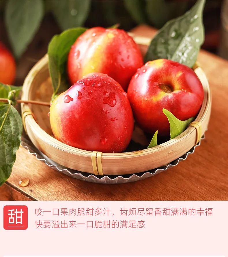 水果团蒙阴红黄油桃双拼2020暖棚黄桃脆甜爆汁鲜嫩爽口