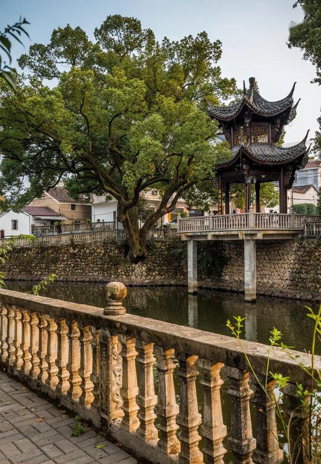 沿着东塘走,就能看到最美街巷,临水栈道,环境十分舒适.