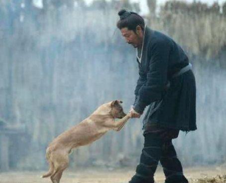 吃狗肉的,"狡兔死,走狗烹"就是那时候流传下来的,杀狗卖肉者遍布各地