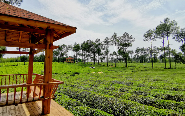 百峰岭:田园风光中的马术表演与汉服大片,是遇见旅途的最好方式
