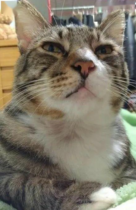 因为两颗水蜜桃它被扒光了