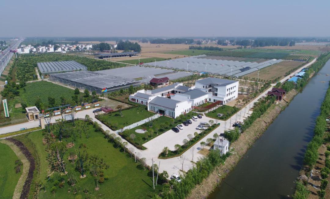 安徽文旅系列品牌2019年度安徽省百佳农家乐蚌埠阜阳篇