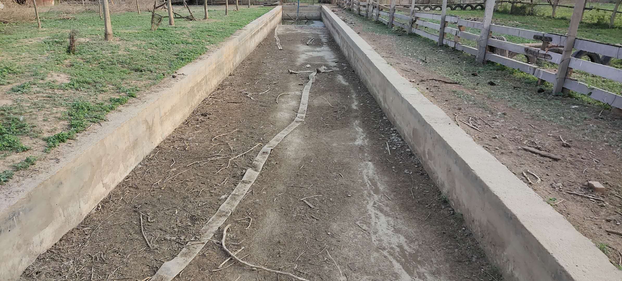 另外,在选择地址时,应考虑地势高燥,利于排水,利于进出青贮料.