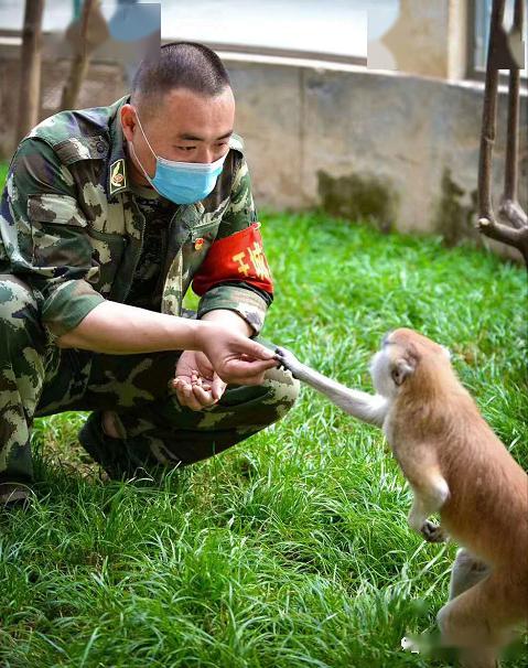 向勞動者致敬:小城家的飼養員們!